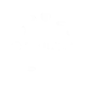 Peluuri logo
